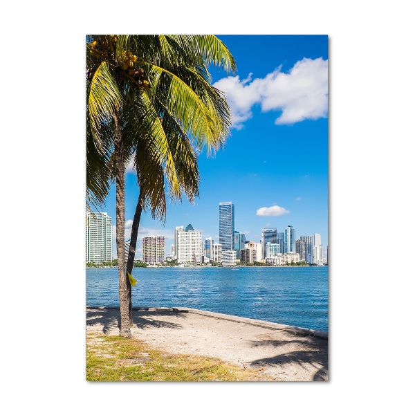 Photo printed on glass Miami