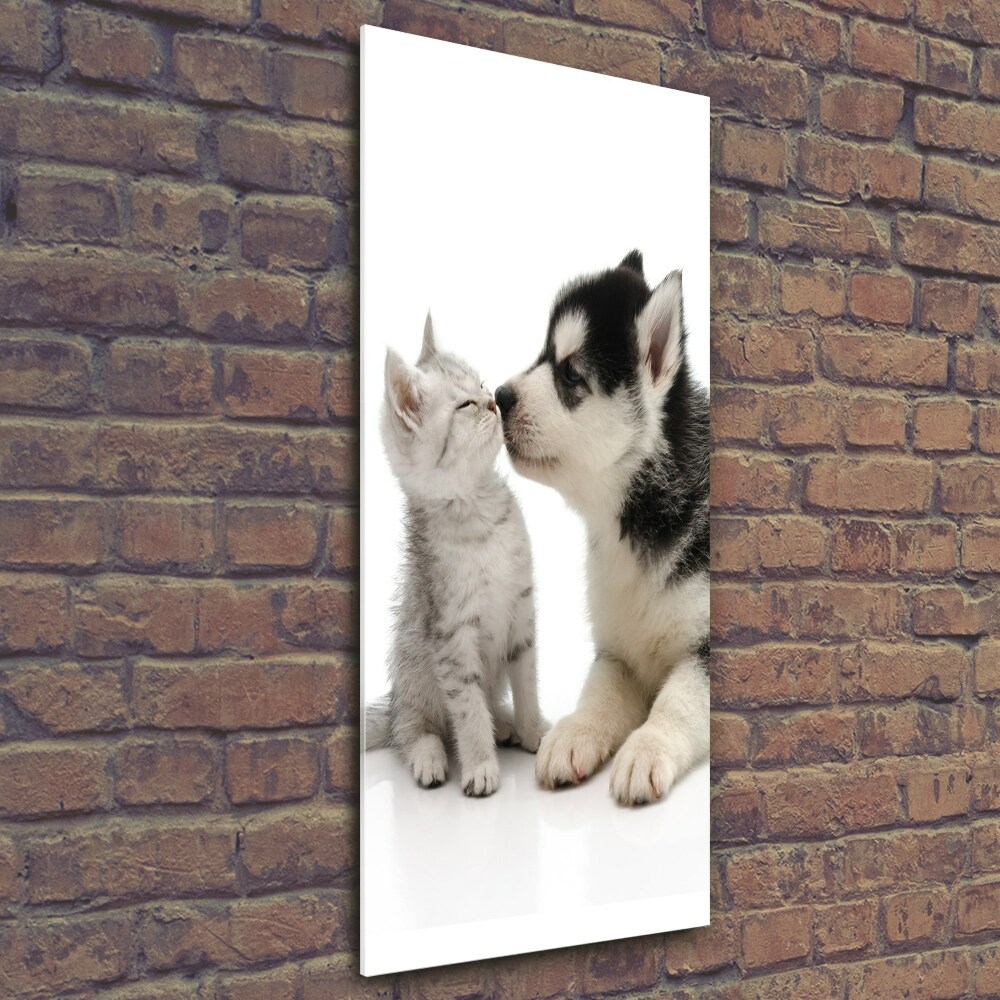 Wall art on glass Dog and cat