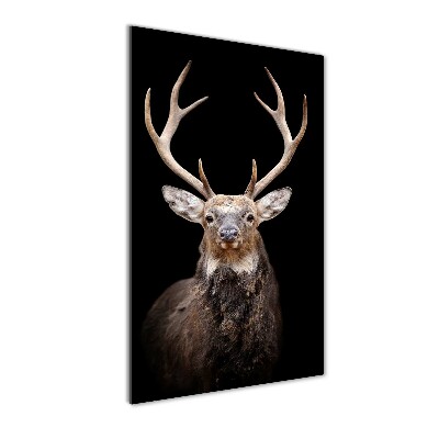 Wall art on glass Deer