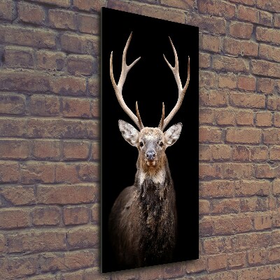 Wall art on glass Deer