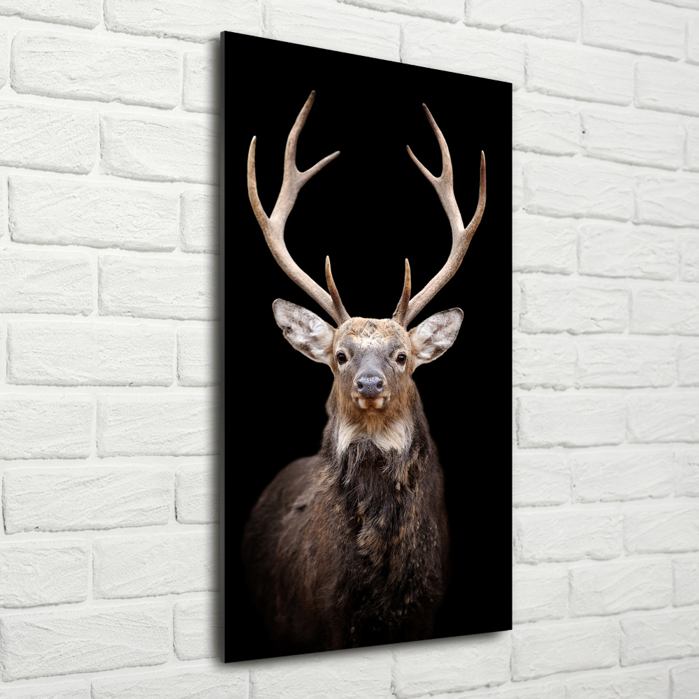 Wall art on glass Deer