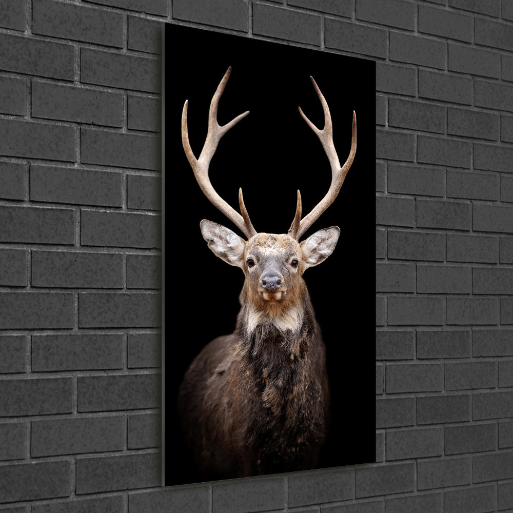 Wall art on glass Deer