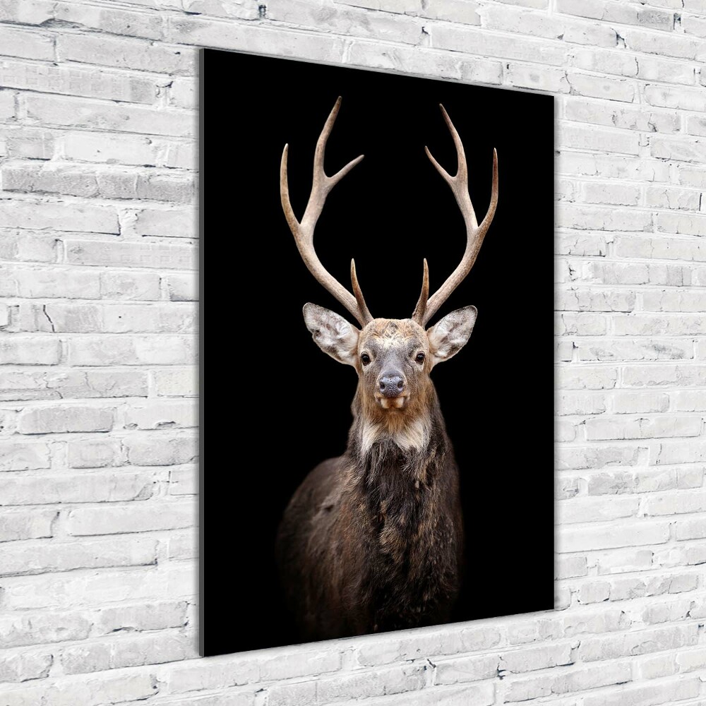 Wall art on glass Deer