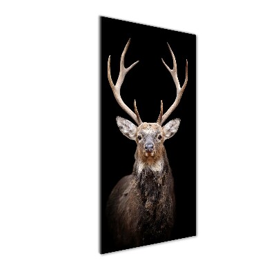 Wall art on glass Deer