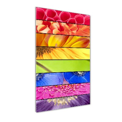 Glass wall art Colorful flowers