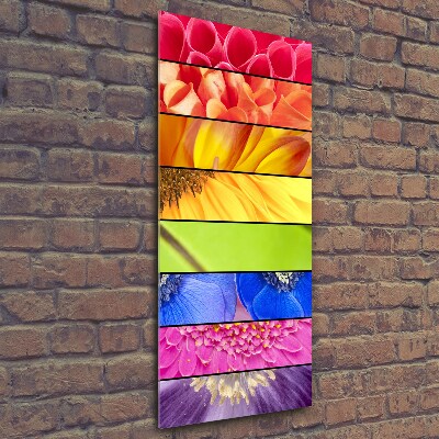 Glass wall art Colorful flowers