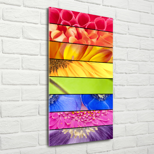 Glass wall art Colorful flowers