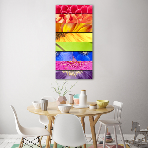 Glass wall art Colorful flowers