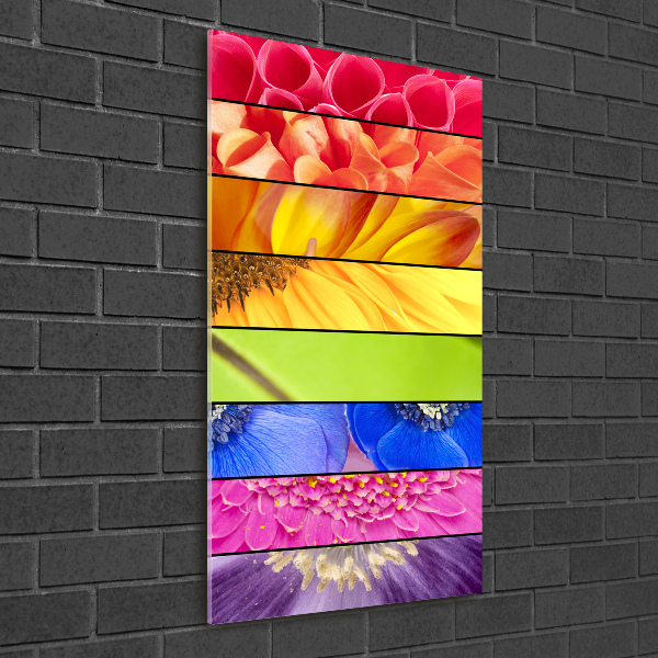 Glass wall art Colorful flowers