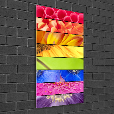 Glass wall art Colorful flowers