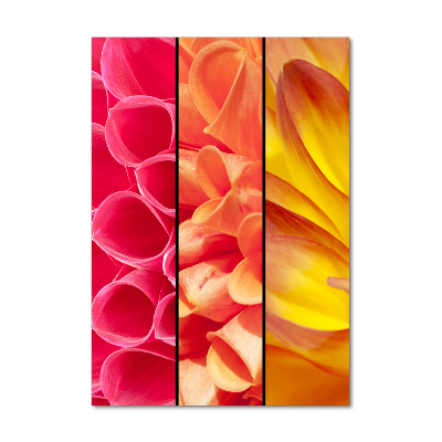 Glass wall art Colorful flowers