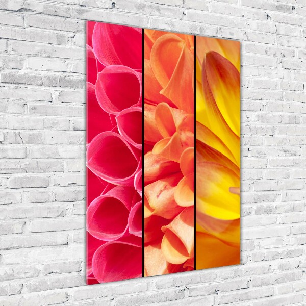 Glass wall art Colorful flowers