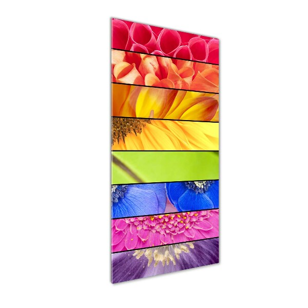 Glass wall art Colorful flowers