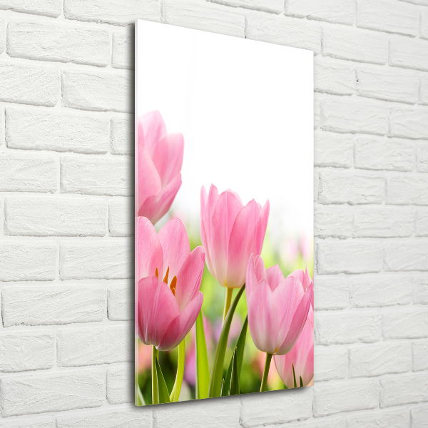 Glass wall art Pink tulips