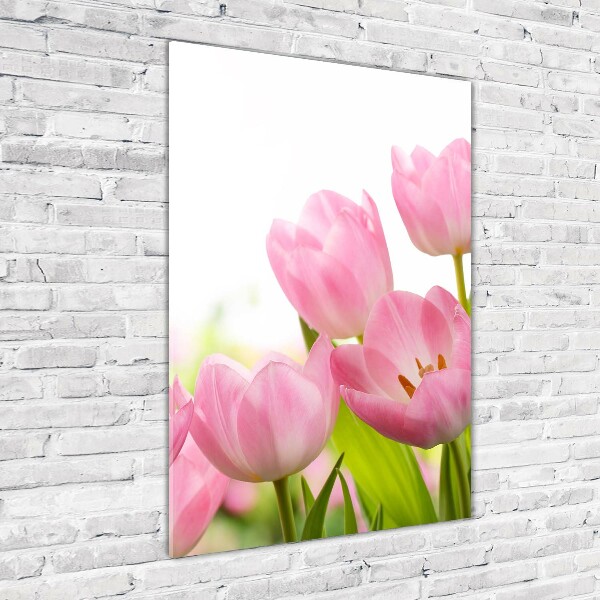 Glass wall art Pink tulips