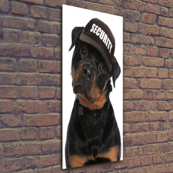 Wall art on glass Rottweiler in the hat