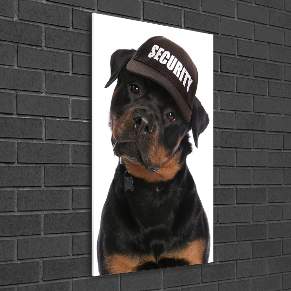 Wall art on glass Rottweiler in the hat