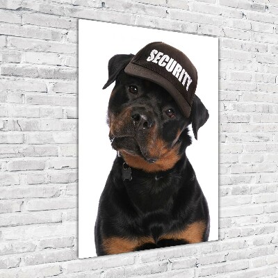 Wall art on glass Rottweiler in the hat