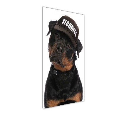 Wall art on glass Rottweiler in the hat