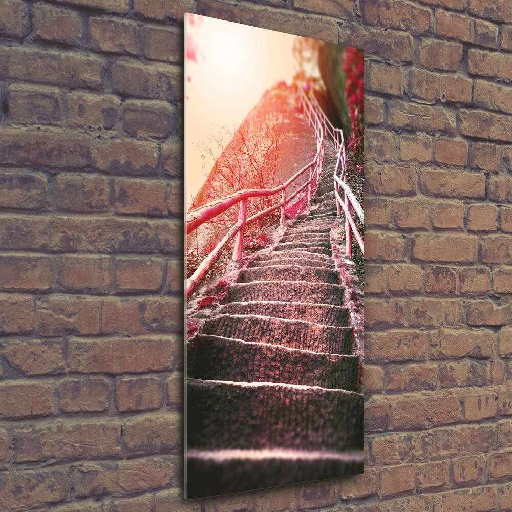 Printed glass wall art Stairs in the mountains