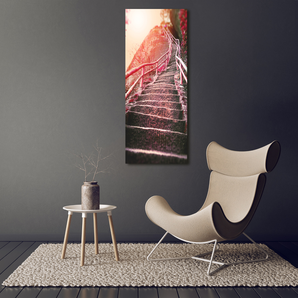 Printed glass wall art Stairs in the mountains