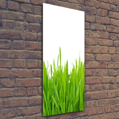 Glass art picture green grass