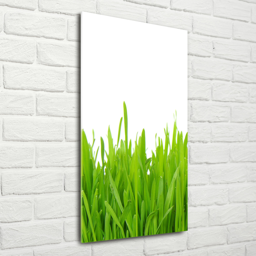 Glass art picture green grass