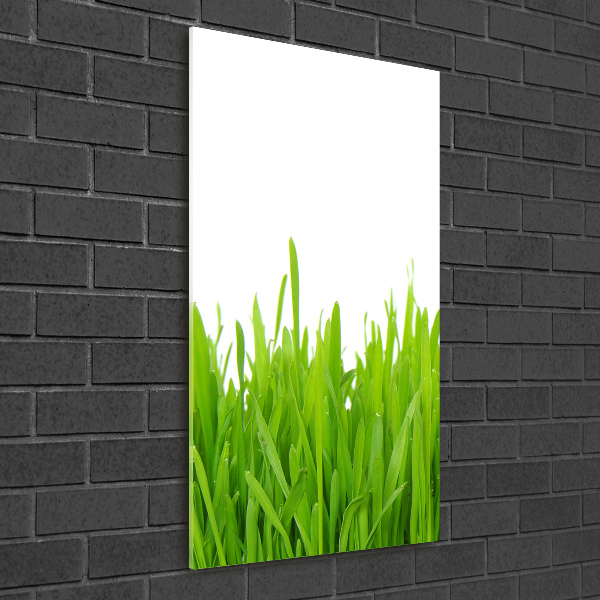 Glass art picture green grass