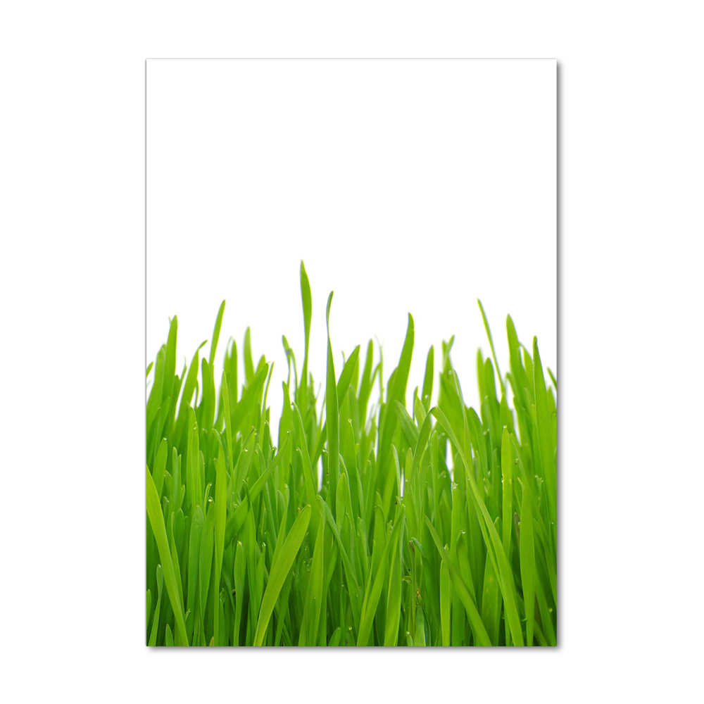 Glass art picture green grass