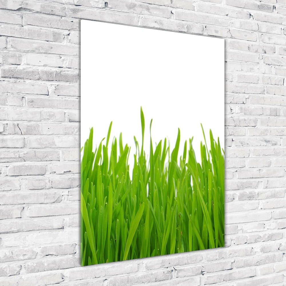 Glass art picture green grass