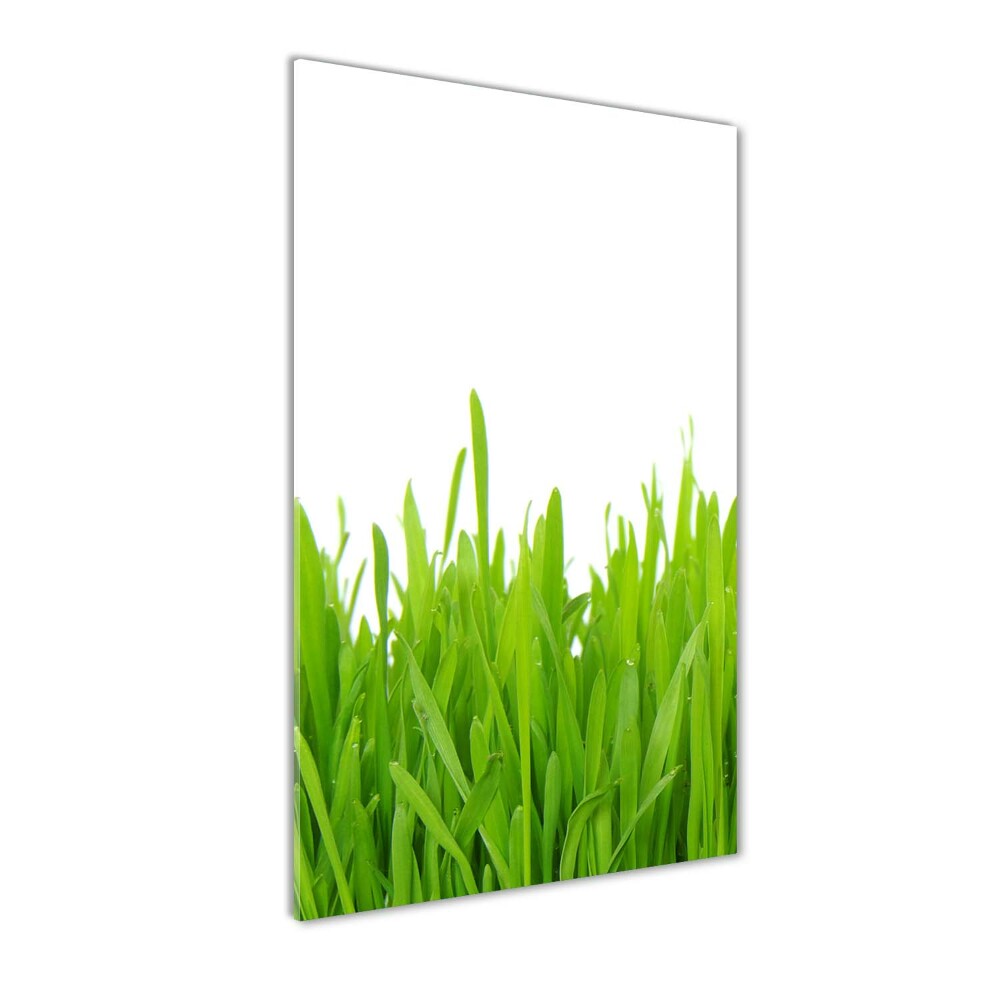 Glass art picture green grass