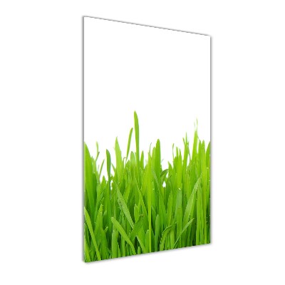 Glass art picture green grass