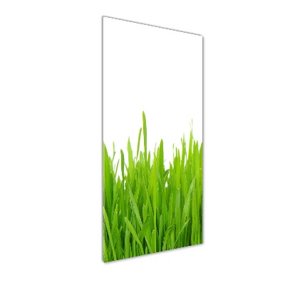 Glass art picture green grass