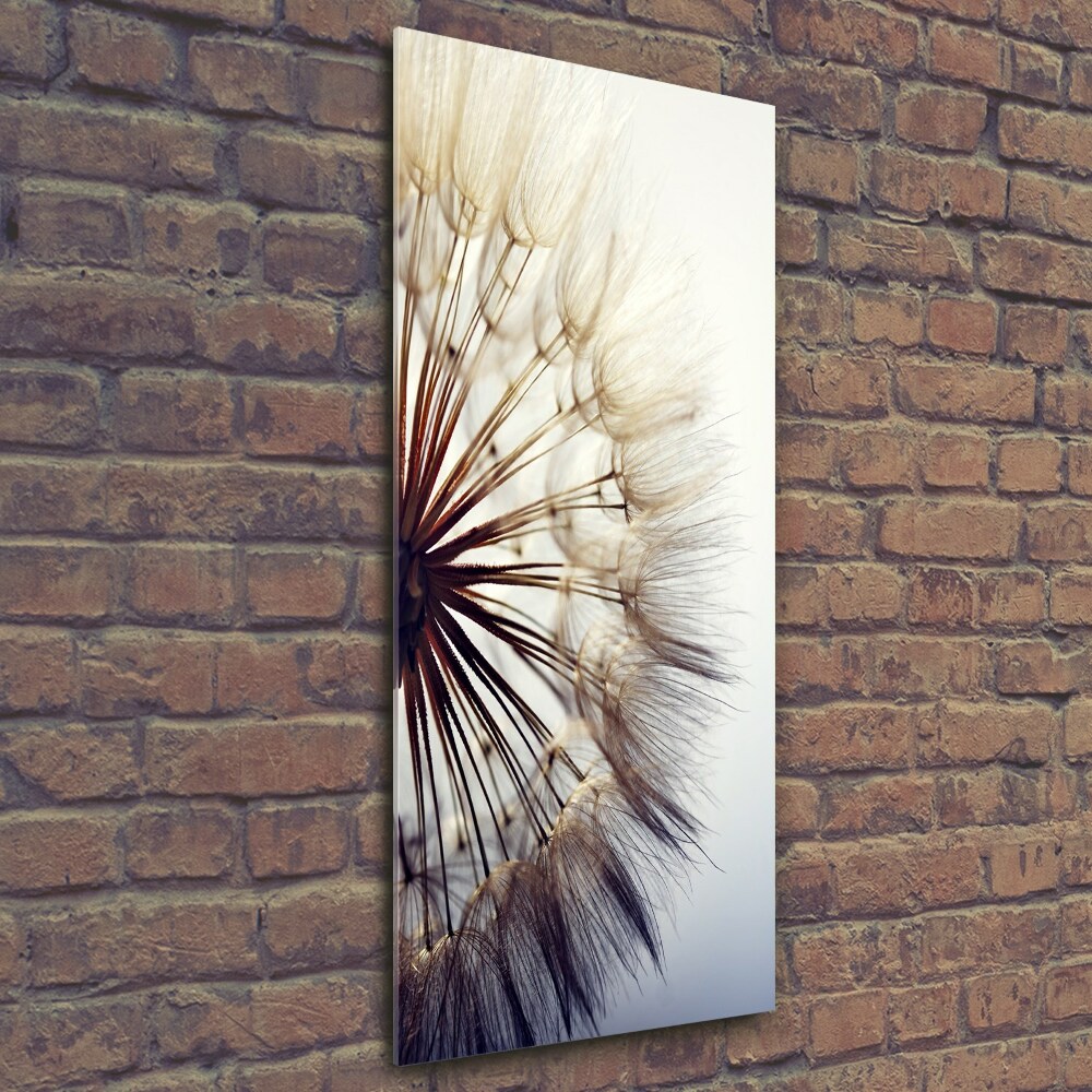 Glass wall art Dandelion