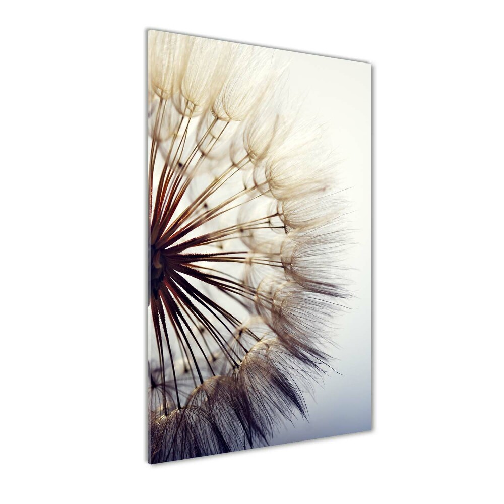 Glass wall art Dandelion