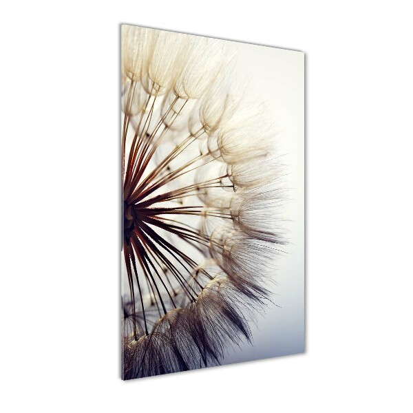 Glass wall art Dandelion