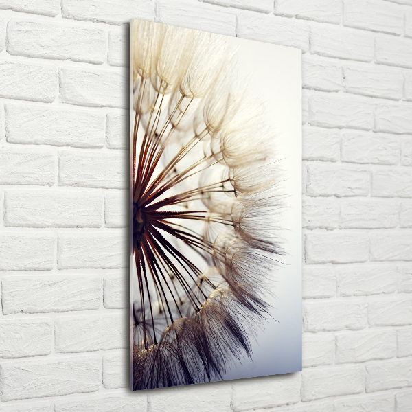 Glass wall art Dandelion