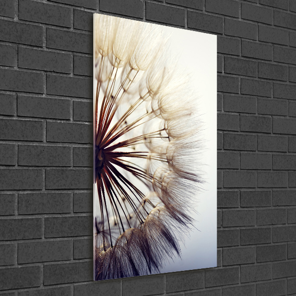 Glass wall art Dandelion