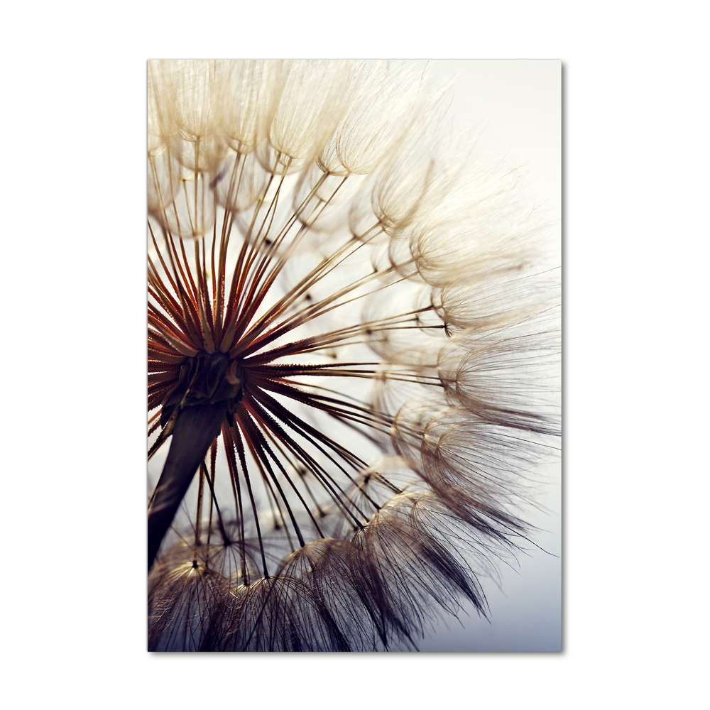 Glass wall art Dandelion