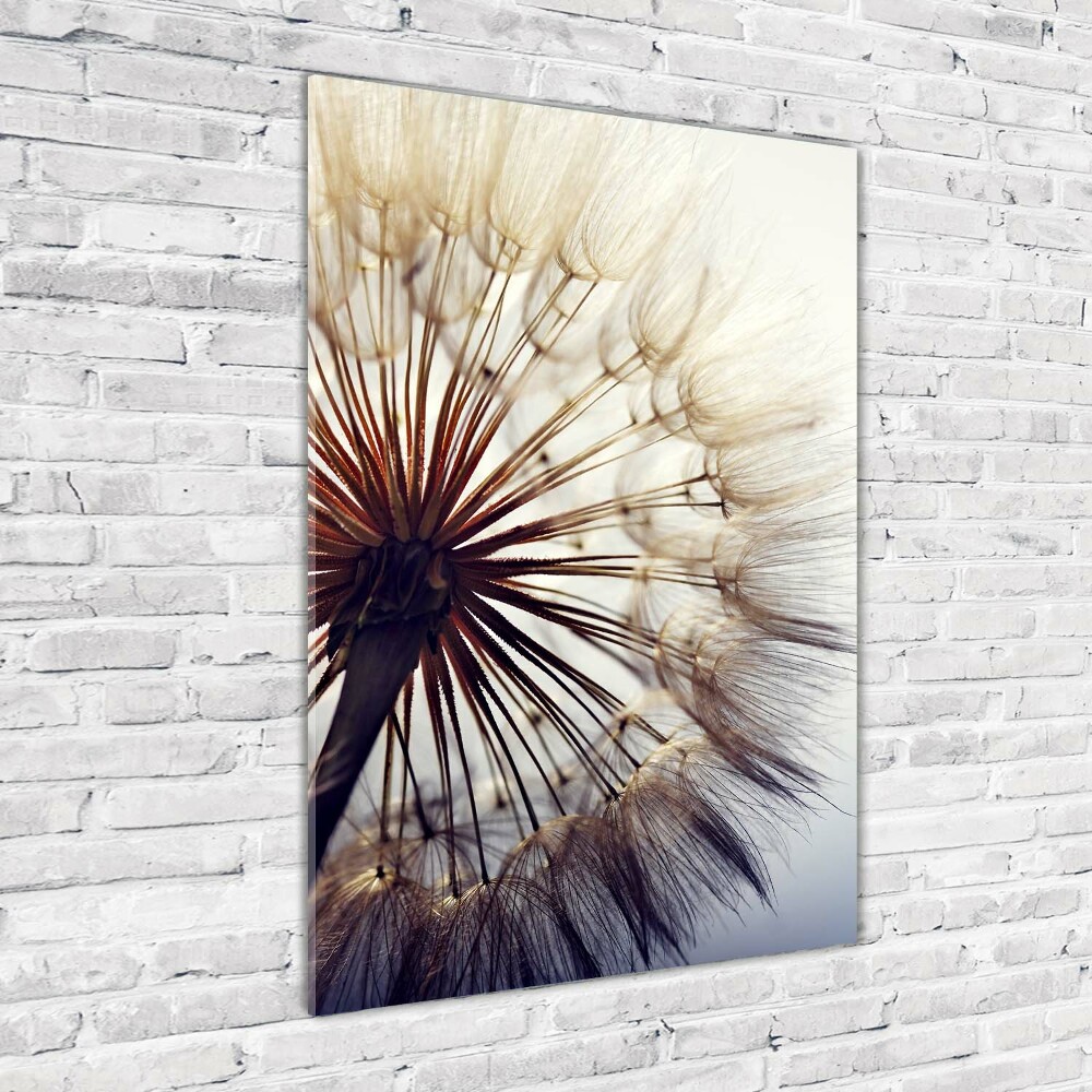 Glass wall art Dandelion