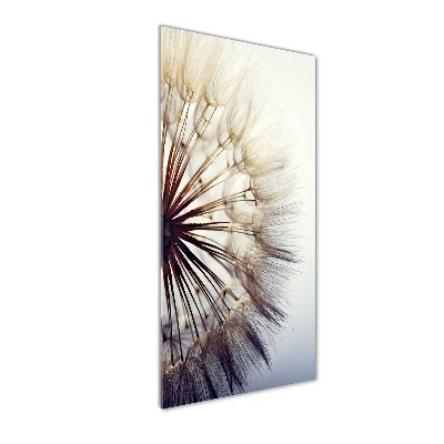 Glass wall art Dandelion