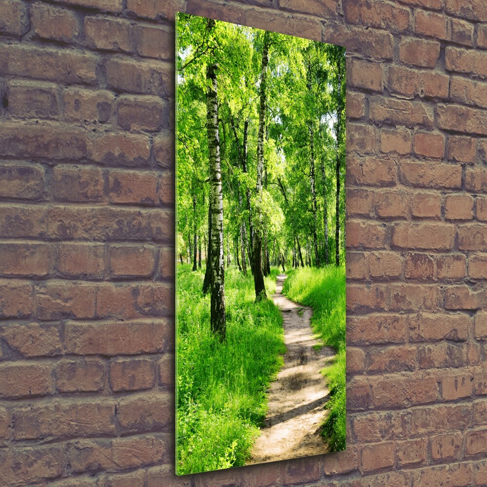 Photo printed on glass Birch forest