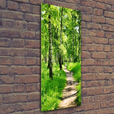 Photo printed on glass Birch forest