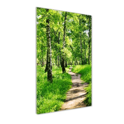 Photo printed on glass Birch forest