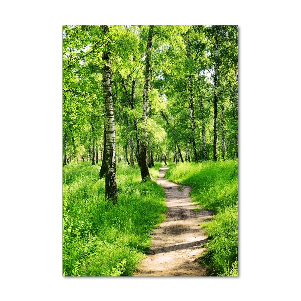 Photo printed on glass Birch forest