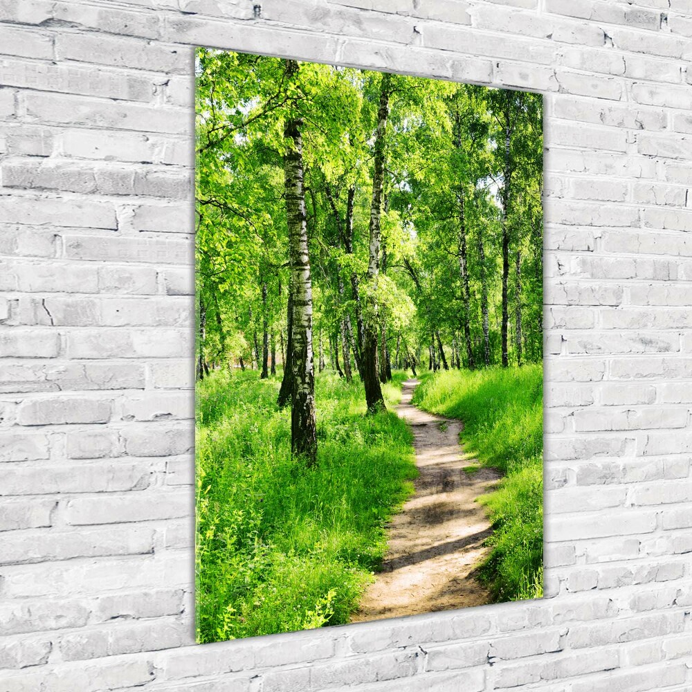 Photo printed on glass Birch forest