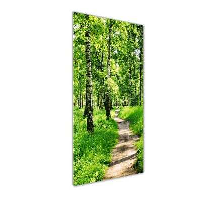 Photo printed on glass Birch forest