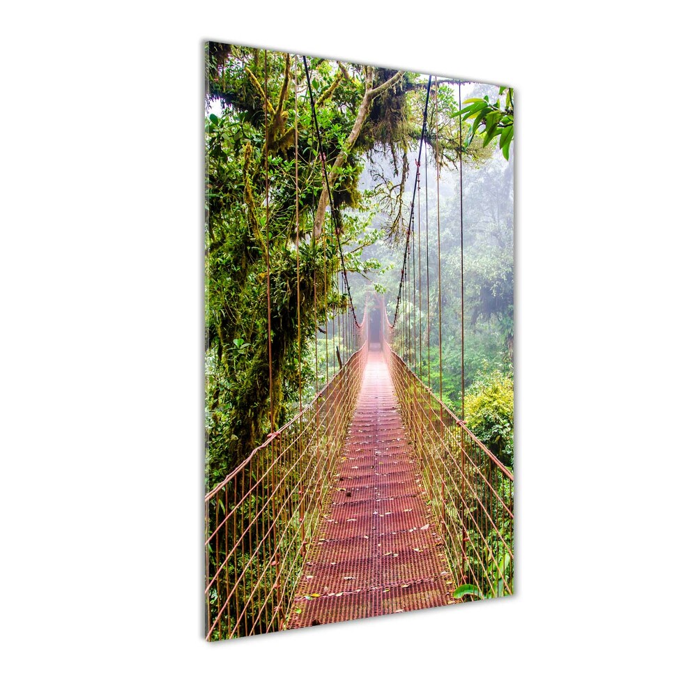 Photo printed on glass Hanging bridge