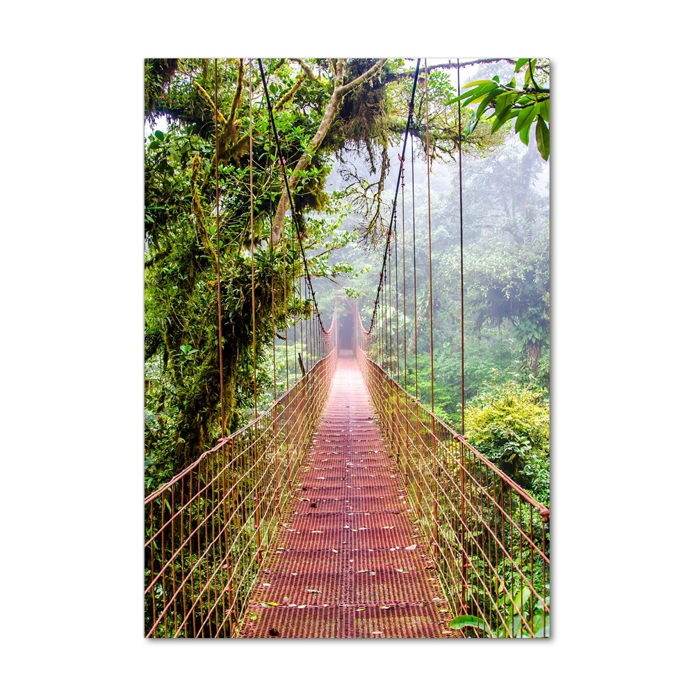 Photo printed on glass Hanging bridge