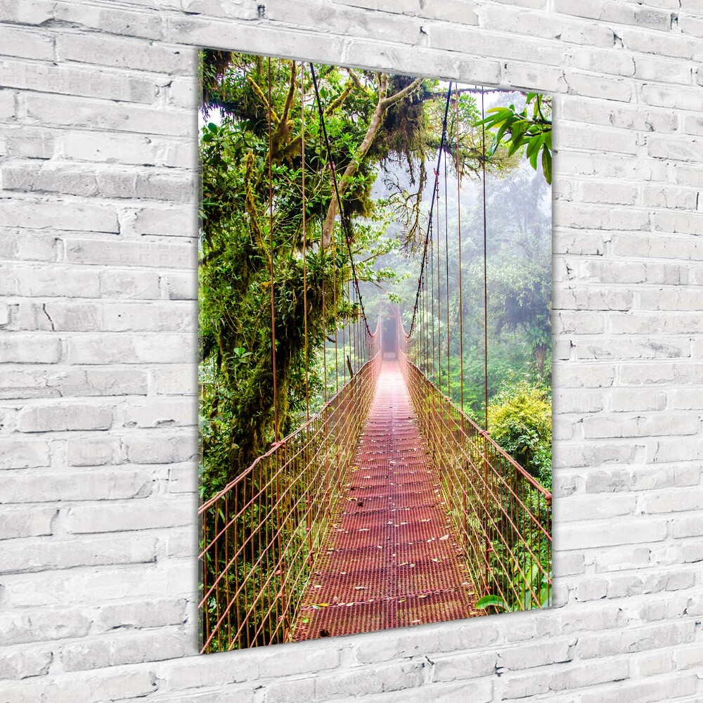 Photo printed on glass Hanging bridge